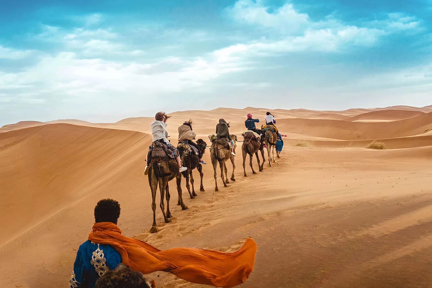 atlas ocean voyages cruise certificates 30 atlas ocean voyages carousel 28