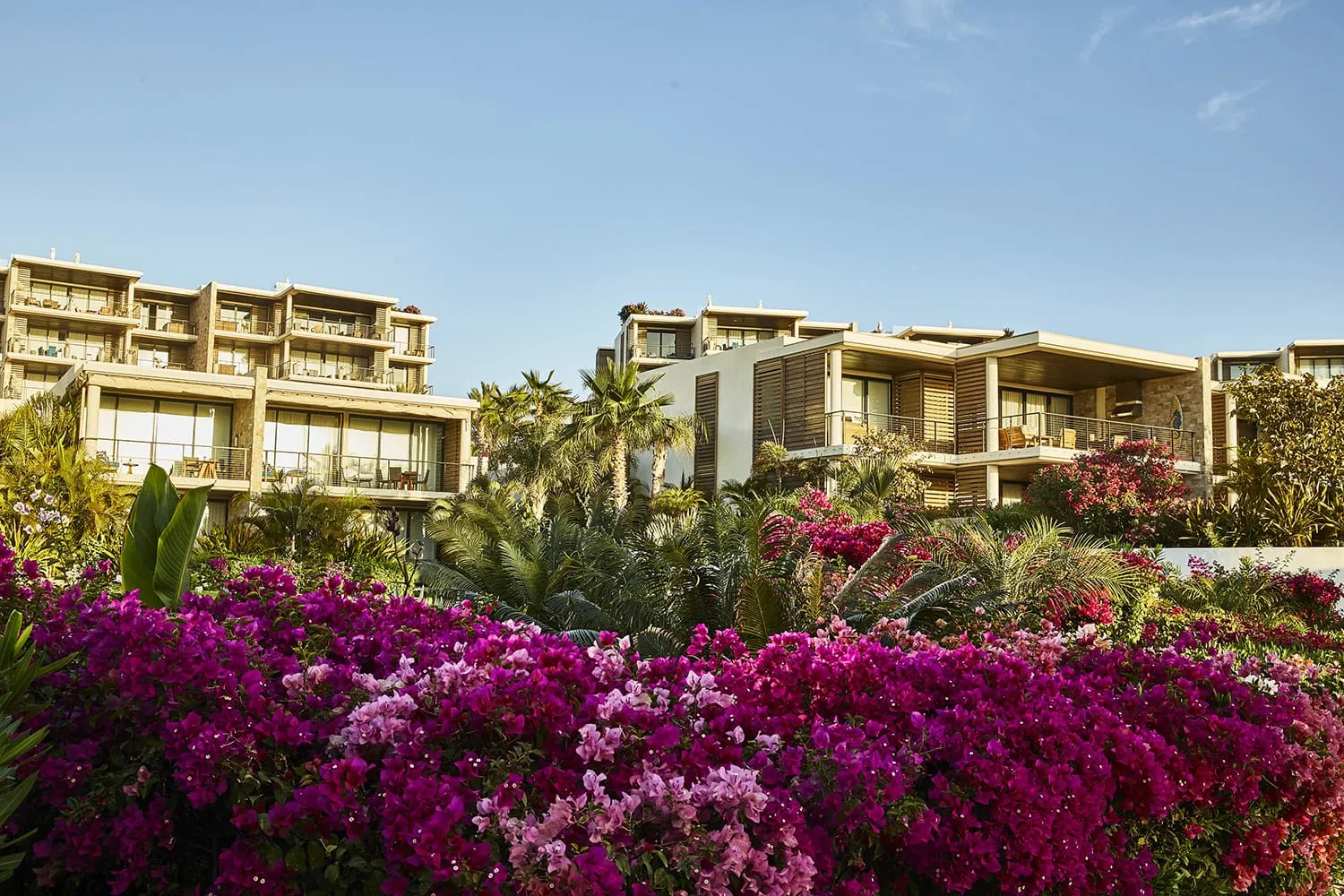 auberge resorts collection certificates 112 esperanza 10