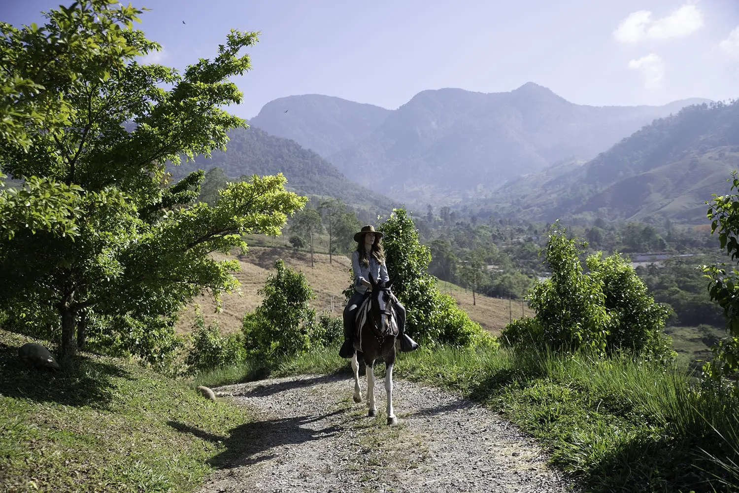 auberge resorts collection certificates 15 hacienda altagracia 13