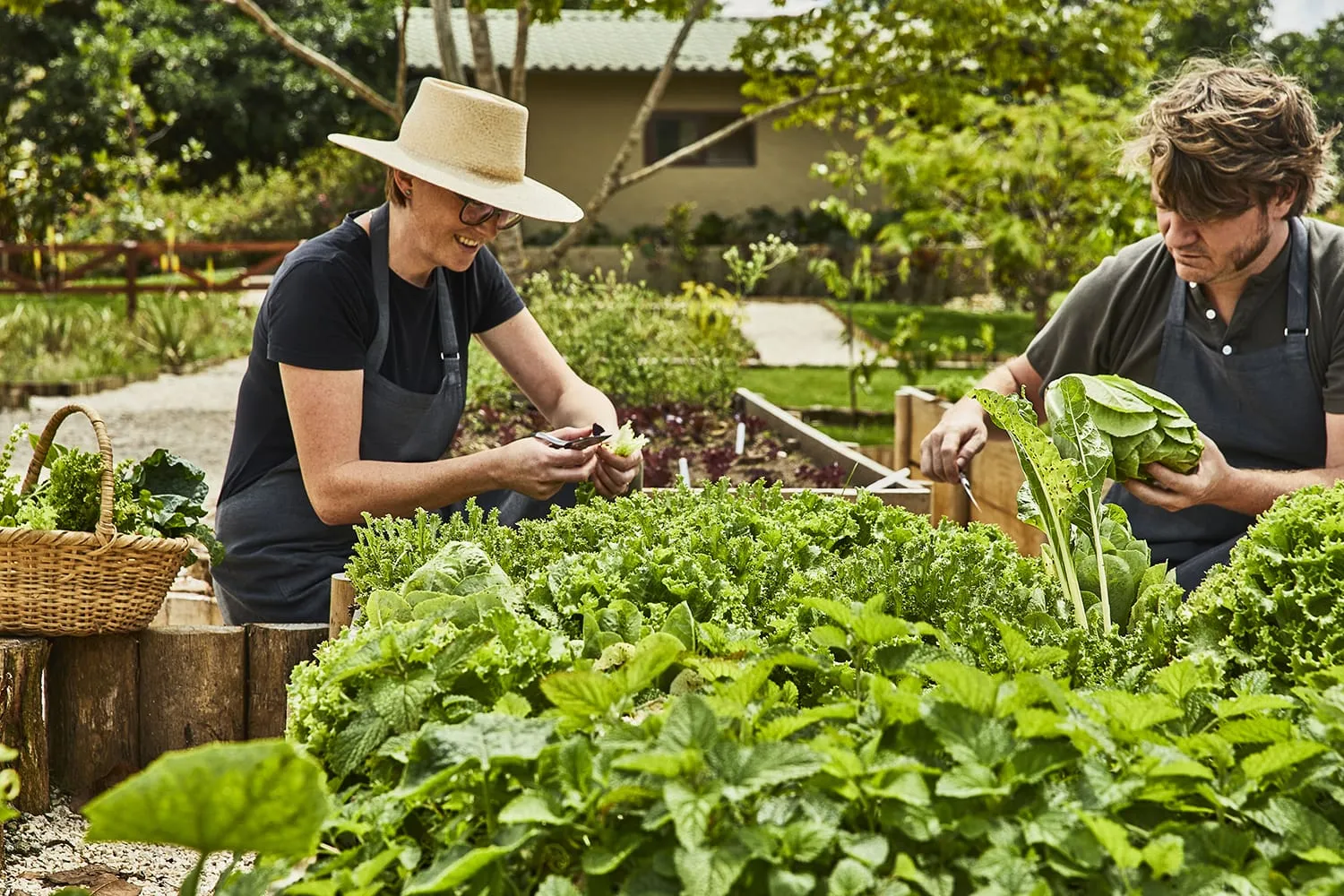auberge resorts collection certificates 24 hacienda altagracia 22