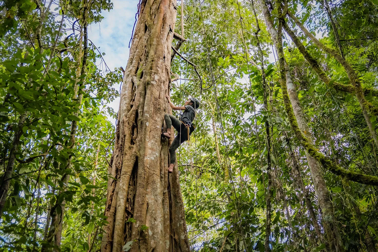 auberge resorts collection certificates 10 hacienda altagracia 8