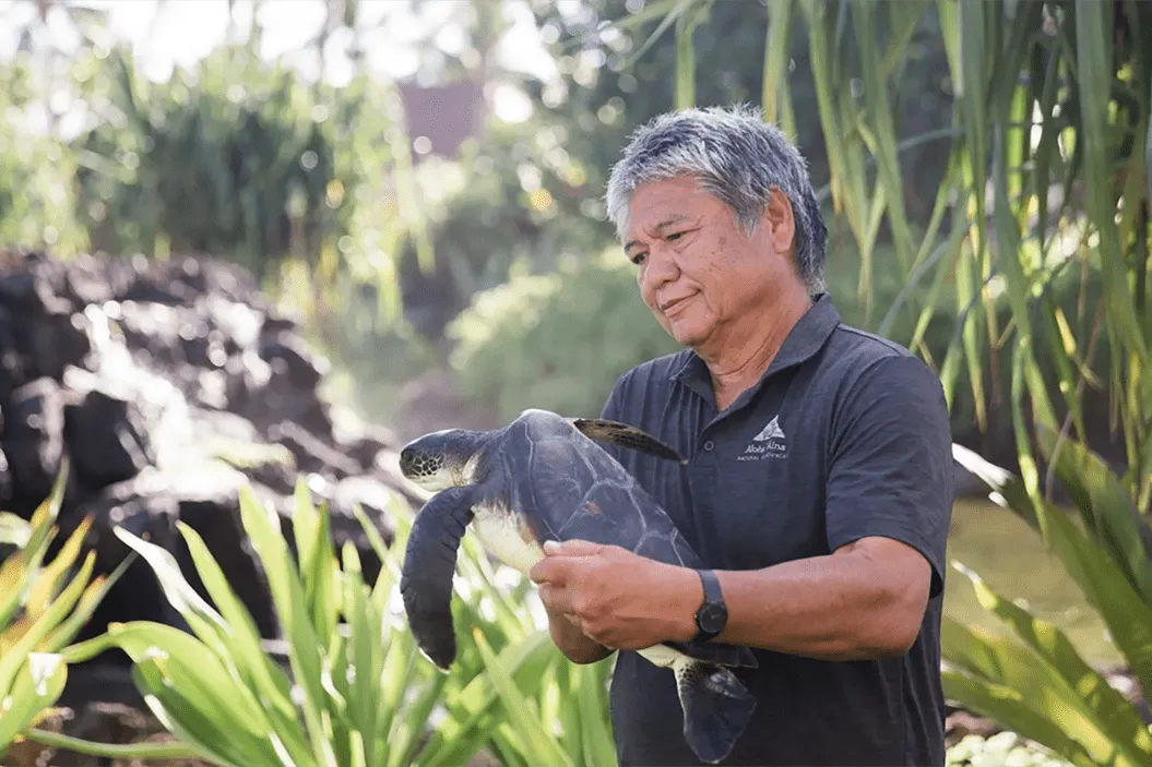 auberge resorts collection certificates 67 mauna lani 24