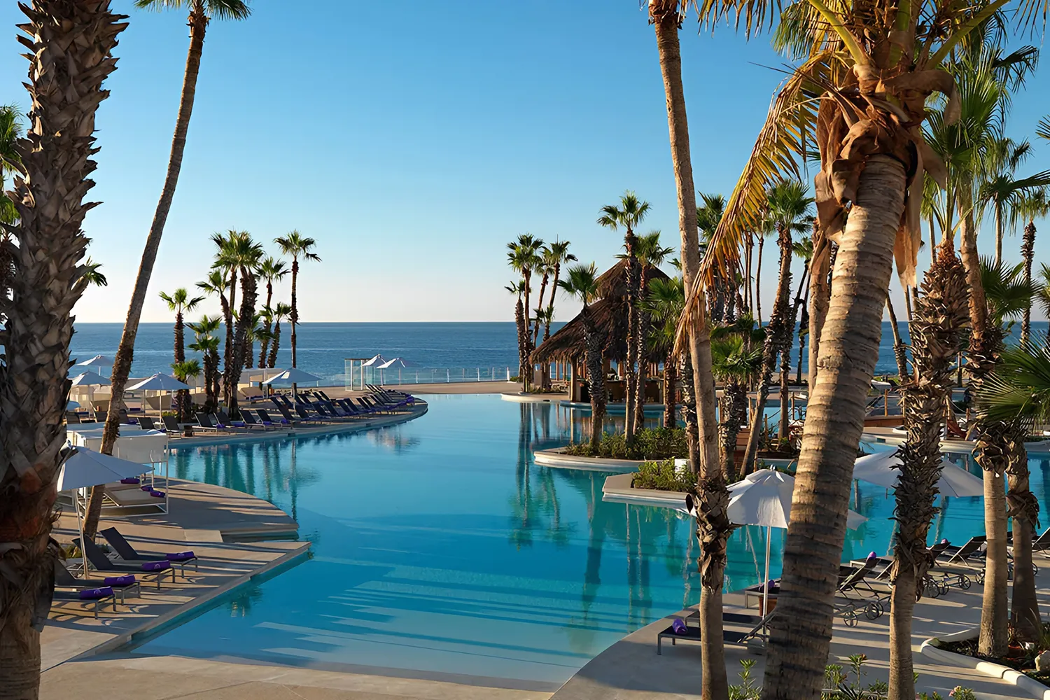 paradisus resorts los cabos junior suite 4