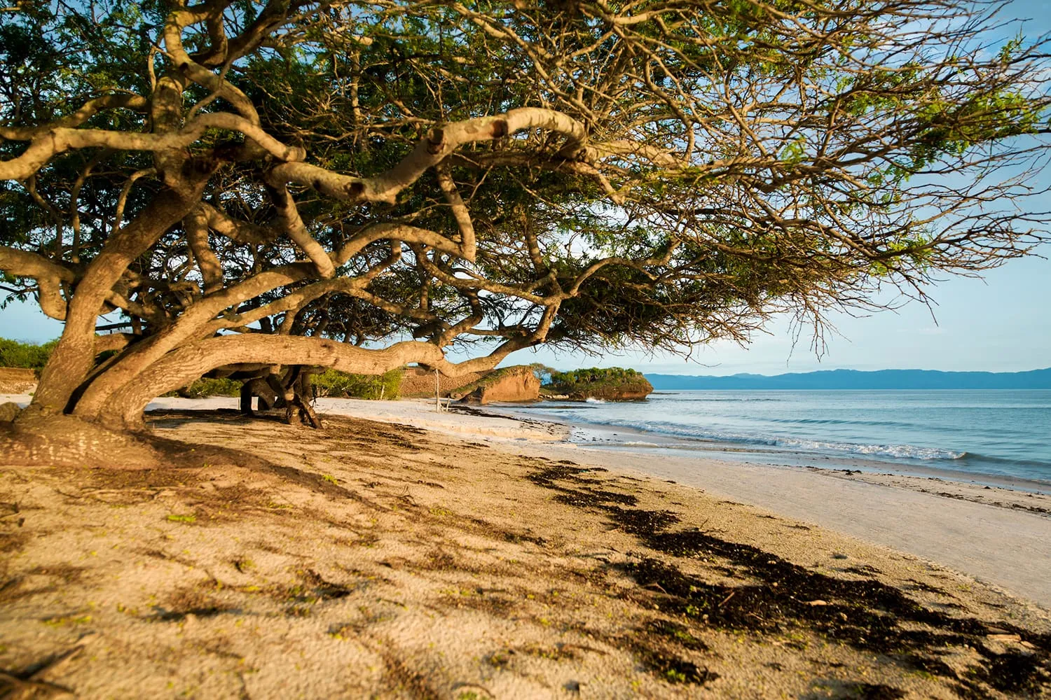 auberge resorts collection certificates 171 susurros del corazon 3