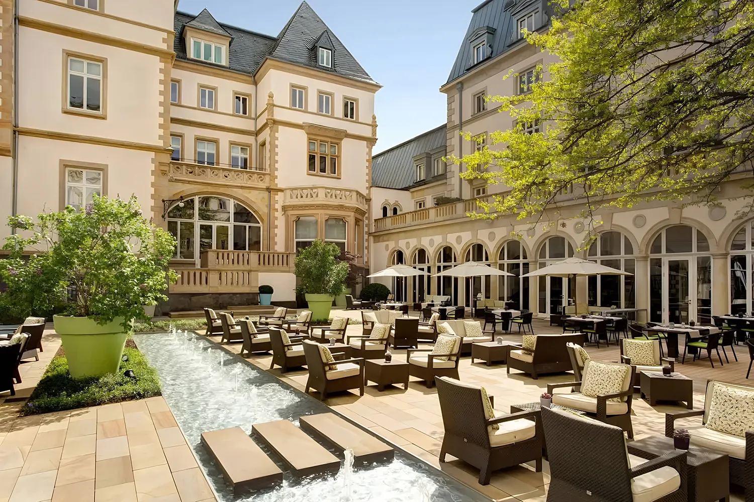 rocco forte hotel certificate: luxury business recognition 5 rocco forte hotel certificate